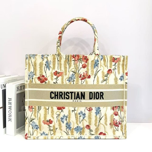 Christian dior book tote large - book,