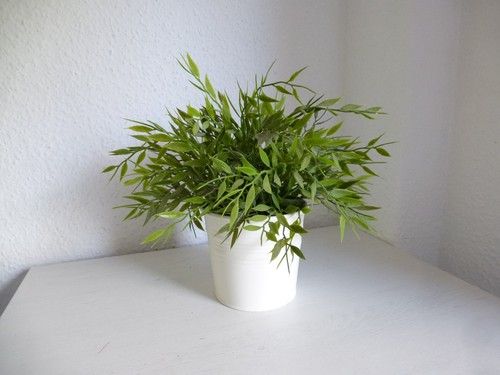 Ikea socker vaso per piante - socker,