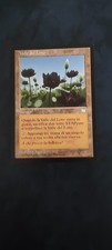 MTG VALLE DEL LOTO - LOTUS