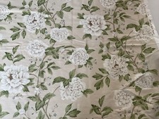 Sanderson Peony Tree