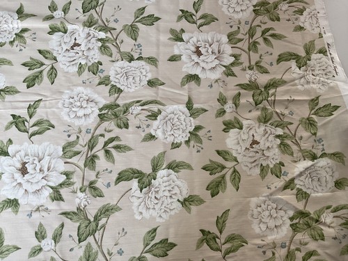 Sanderson peony tree - sanderson,