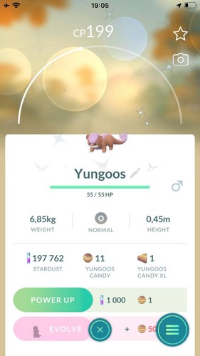 Pokemon vendita shiny yungoos - pokemon,
