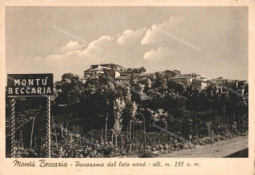Dt817 cartolina montu - dt817,