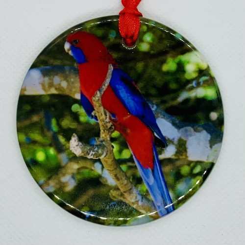 Rosella pappagallo albero - rosella, di