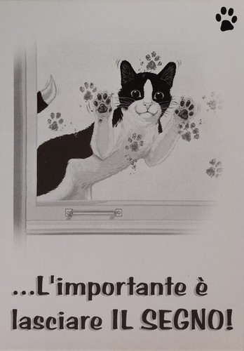 Cartolina gatto felix - gatto,
