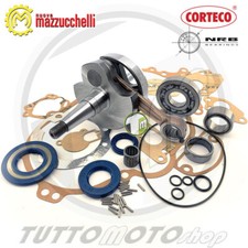 Kit Revisione Albero Motore