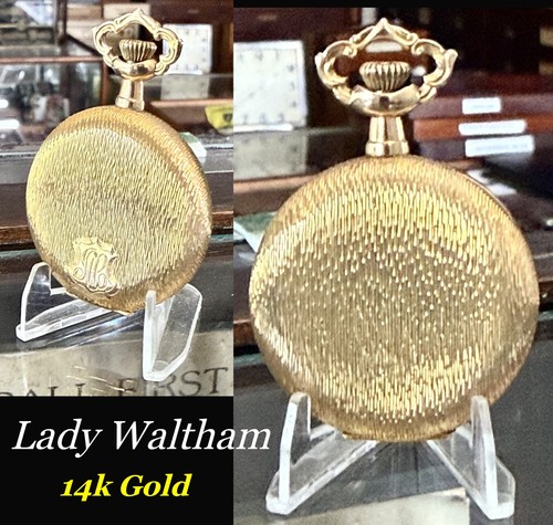 Lady waltham tasca - lady,
