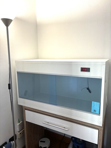 Terrario nuovo con lampada - nuovo, e