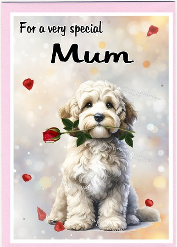 Doodle maltipoo tessera bianca - tessera,