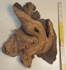 radice naturale mangrovia terrario acquario tronco vero legno tana 1900 grammi