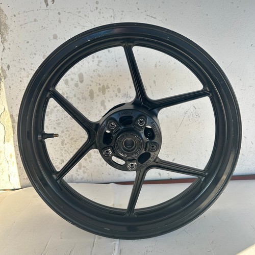 Kawasaki 10r 2004 2005 - 2005,