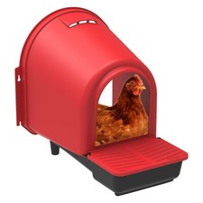 Nido per polli nido per polli