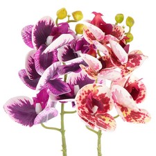  2 Pcs Decorazione Rettile