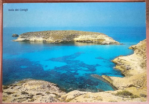 Lampedusa isola dei - dei, conigli