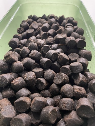 Pellet carpa gatto - di, carpa/gatto