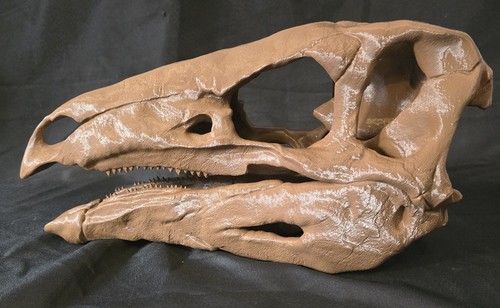 Stegosaurus replica dinosaur - stegosaurus,