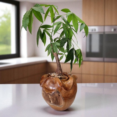 Vaso fiori legno - vaso, di