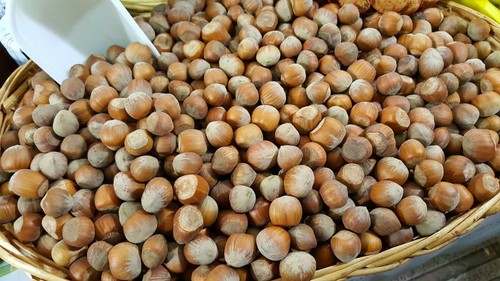Nocciole con guscio - , di