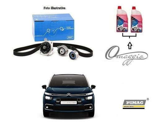 Distribuzione per citroen - distribuzione,