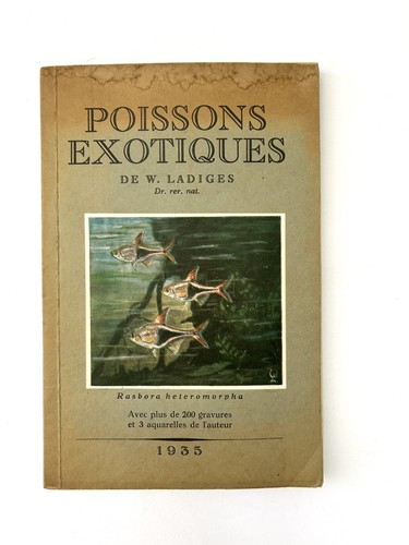 Poissons exotiques ladiges - poissons, w.