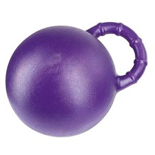 Pesante Cavallo Da Masticare
