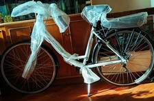 Bici elettrica marca Schiano