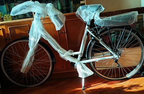 Bici elettrica marca schiano - bici,
