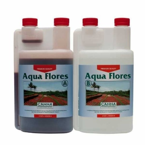 Canna aqua flores b - canna, a+b