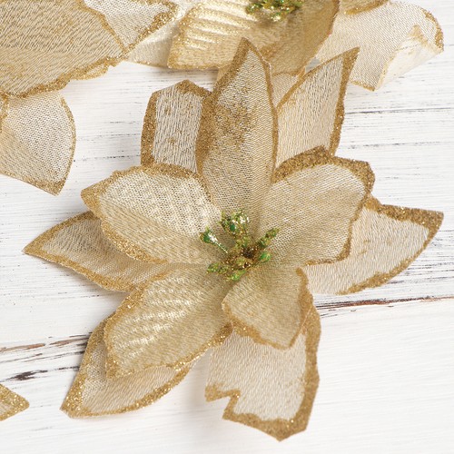 Pcs fiori stella - , 12