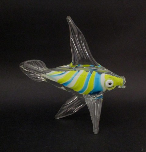 Splendido grande pesce - ✅, 1°