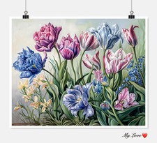 Triumph Tulips Concerto -