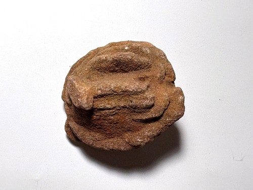 Rosa barite vicino a - rosa,