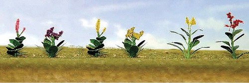 Piante fiorite assortimento - piante,