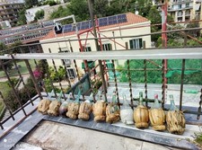 Bottiglia paglia vino - paglia,