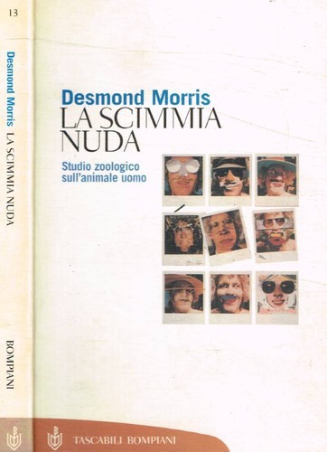 Scimmia nuda studio - la,