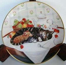 Turi MacCombie CAT NAP