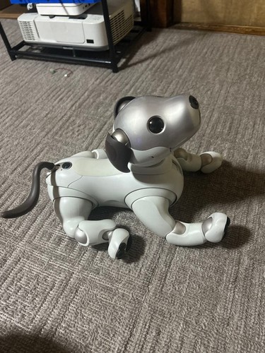 Sony aibo ers 1000 - ers-1000, cane