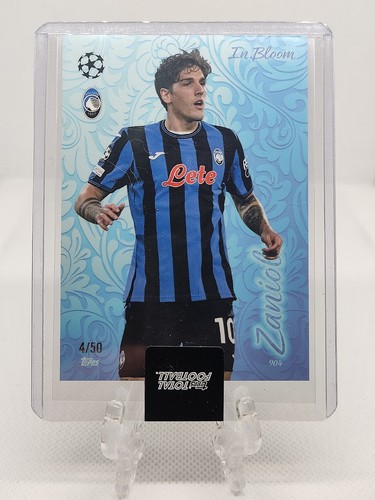 Card nicolo zaniolo - card,