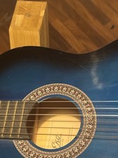 EKO Ranger 6 Blue Sunburst