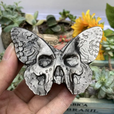 Teschio Farfalla Resina