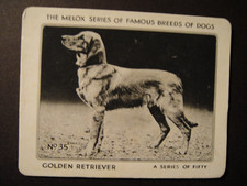SCARCE MELOX DOG FOOD FAMOUS