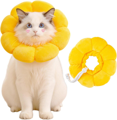 Collare elisabettiano gatto - collare,