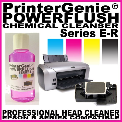 Epson r200 r210 r220 prinhead - epson,