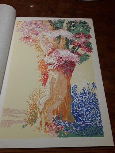 Giuseppe grosso litografia - giuseppe,