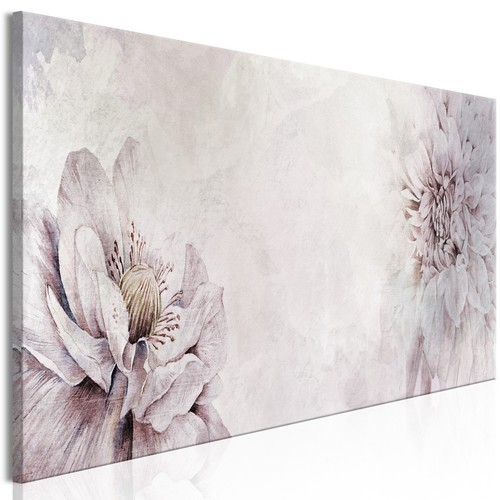 Peonia rosa fiori quadro - rosa,
