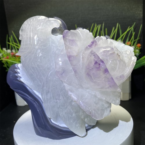Libbre a ametista - 5,6",