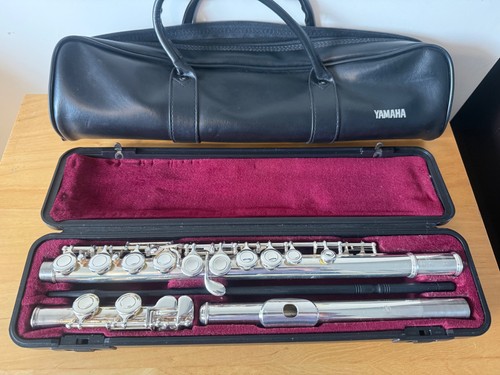 Strumento musicale flauto - strumento,