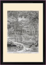 Xilografia 1836 vista - , delle