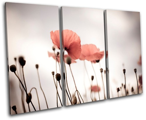 Poppy field flowers floral - poppy,