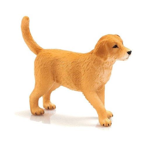 Mojo 387205 golden - golden, retriever